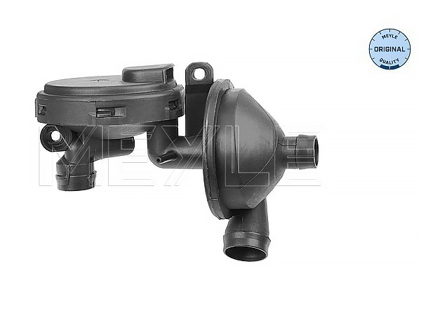Manifold